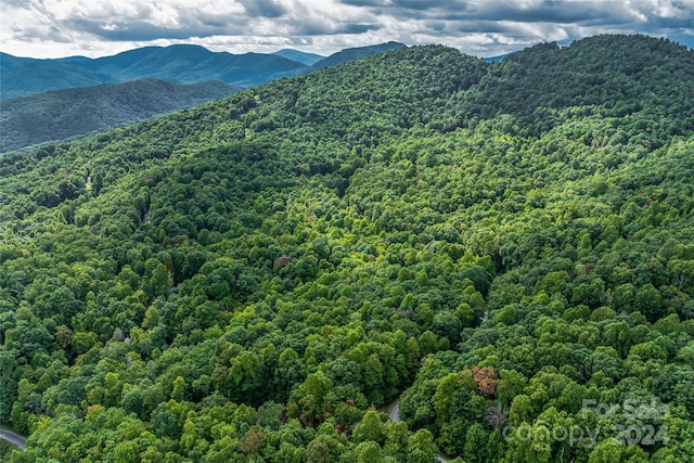 99999 Rhododendron Dr Unit 4, Old Fort, NC 28762