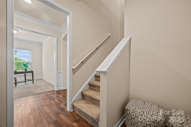 stairway with hardwood / wood-style floors, crown molding, and baseboards