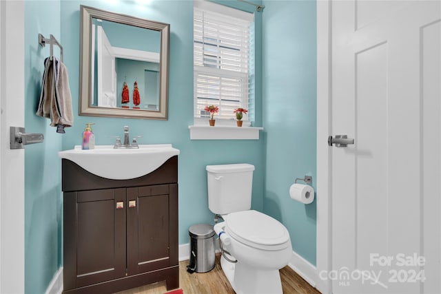 bathroom with wood-type flooring, vanity, and toilet