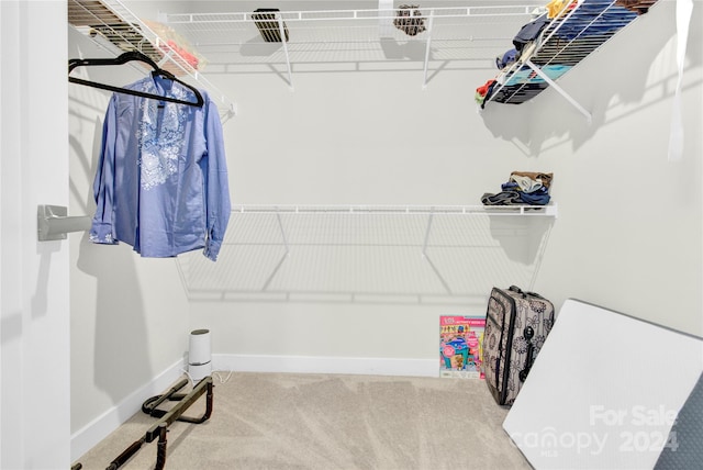 spacious closet with carpet flooring