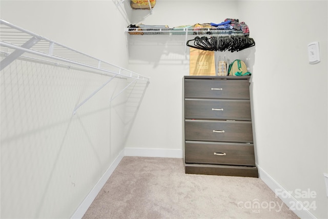 spacious closet with light colored carpet