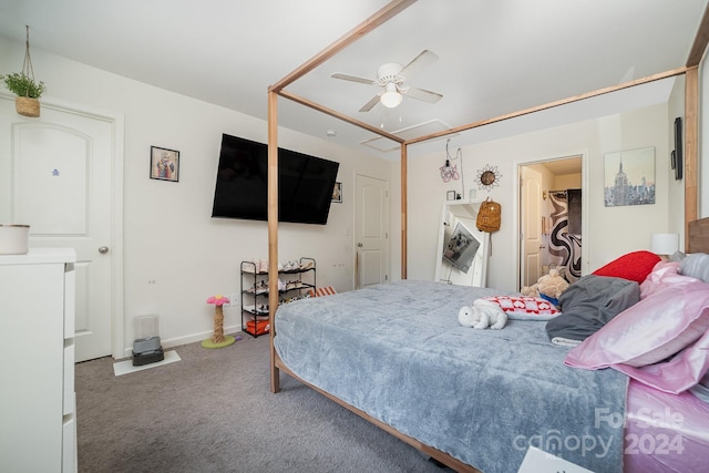 bedroom with carpet floors, ceiling fan, a closet, and a walk in closet