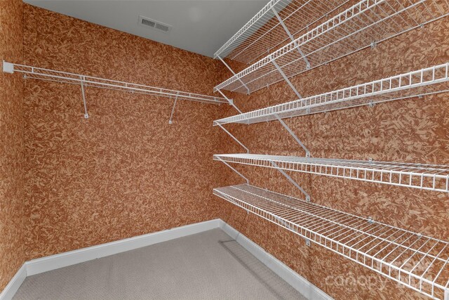 spacious closet featuring carpet flooring