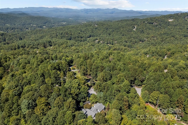 85 Tall Poplar Smt, Hendersonville, NC 28739 - aerial view of property's location with a heavily wooded area and mountains