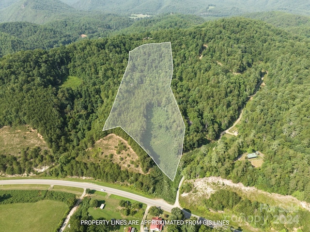 9999 Plum Tree Holler Dr, Hot Springs NC, 28743 land for sale