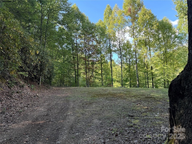 Listing photo 2 for LotE Twin Coves Road, Bryson City NC 28713