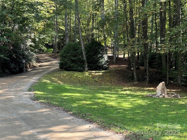 Listing photo 2 for LotE Twin Coves Road, Bryson City NC 28713