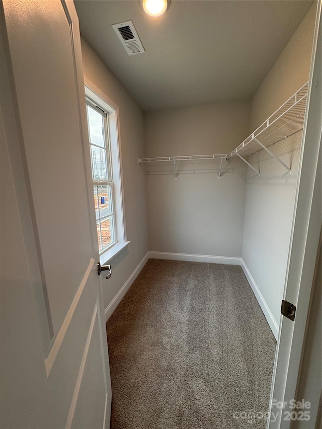 walk in closet with carpet floors