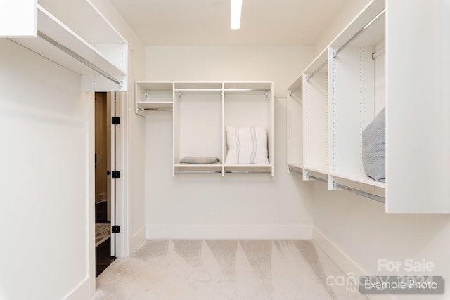 walk in closet featuring carpet flooring