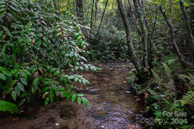 view of nature