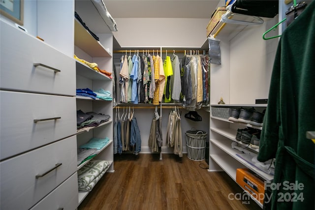 spacious closet featuring dark hardwood / wood-style flooring