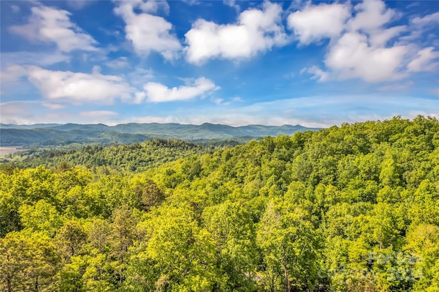 view of mountain feature