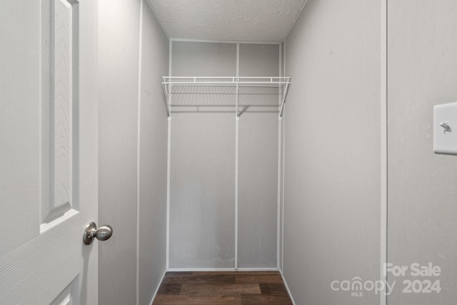 walk in closet with dark hardwood / wood-style floors