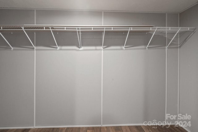 walk in closet featuring hardwood / wood-style flooring