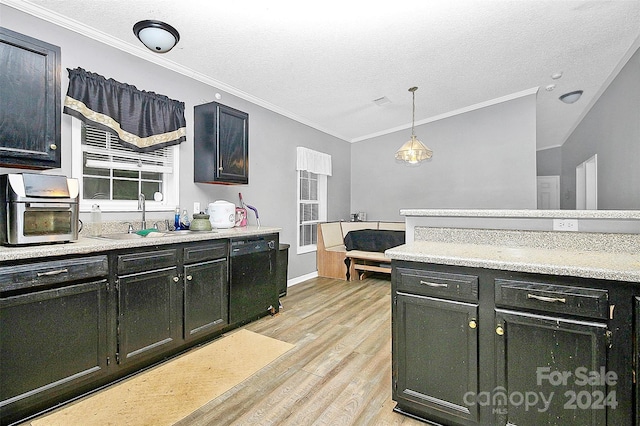 kitchen with pendant lighting, sink, ornamental molding, light hardwood / wood-style flooring, and dishwasher