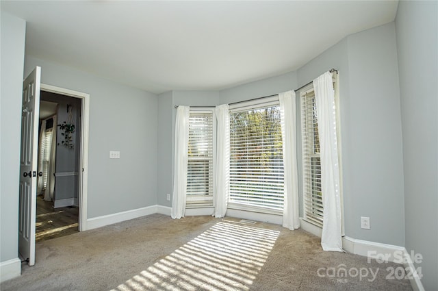 unfurnished bedroom featuring light colored carpet