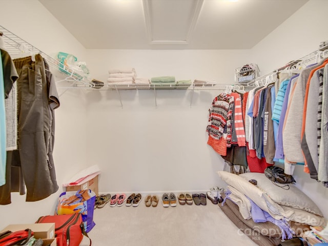 walk in closet with carpet flooring