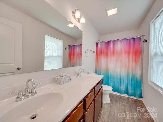 bathroom featuring a healthy amount of sunlight, vanity, toilet, and wood-type flooring