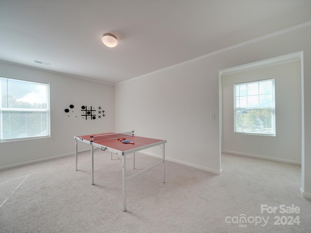 rec room featuring light colored carpet and plenty of natural light