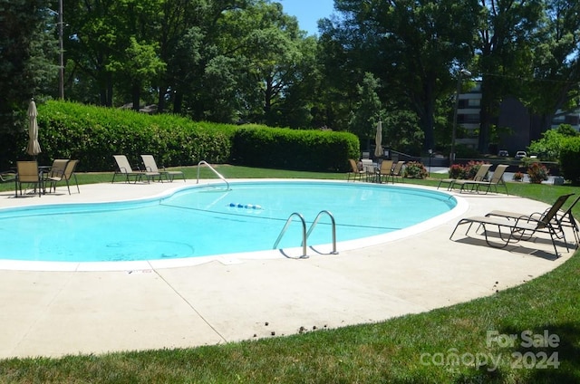 view of pool with a patio area