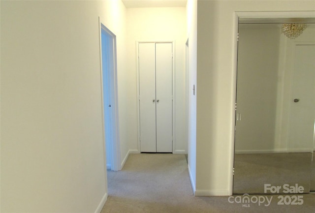 1300 Reece Rd Unit 302, Charlotte, NC 28209 - hall with carpet and baseboards