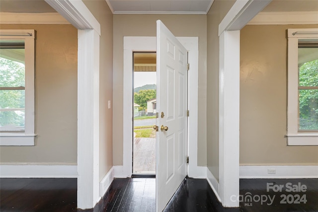 entrance foyer with crown molding, plenty of natural light, and dark hardwood / wood-style floors