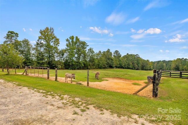 view of property's community featuring a lawn and a rural view