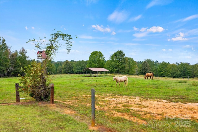 view of yard featuring a rural view