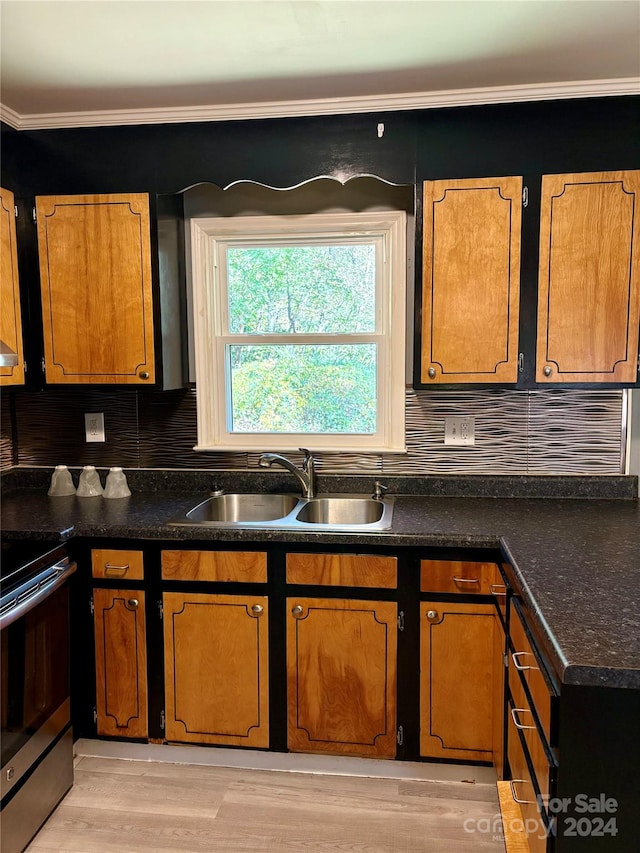 kitchen featuring tasteful backsplash, stainless steel range oven, light hardwood / wood-style floors, crown molding, and sink