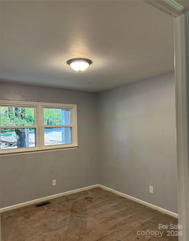 spare room with carpet floors