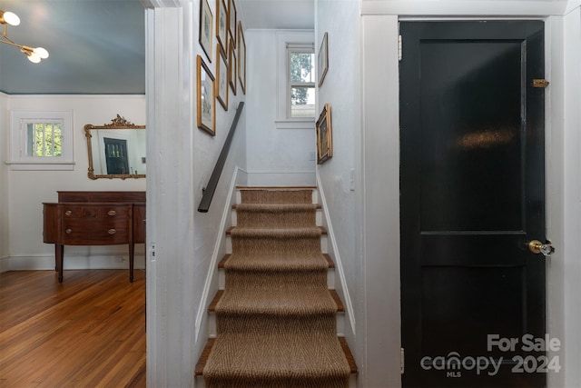 staircase featuring hardwood / wood-style floors