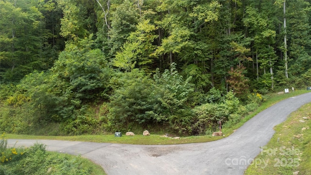 Listing photo 3 for TBD Lovebird Ln, Candler NC 28715