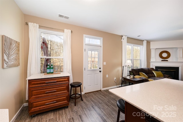 interior space with dark hardwood / wood-style floors