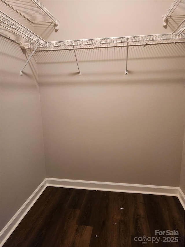 spacious closet featuring dark wood-style floors