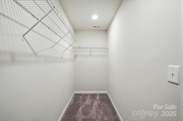 939 Cobbled Way, Fort Mill, SC 29715 - walk in closet featuring carpet flooring