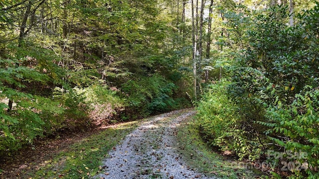 view of road