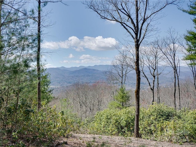 8B Reserve Rd, Pisgah Forest NC, 28768 land for sale