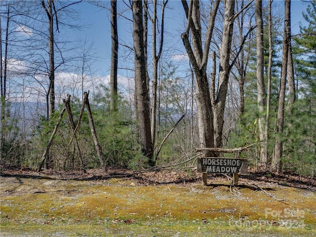 Listing photo 2 for 8B Reserve Rd, Pisgah Forest NC 28768