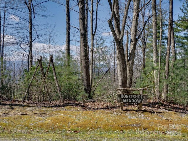 8B Reserve Rd, Pisgah Forest, NC 28768 - photo 2