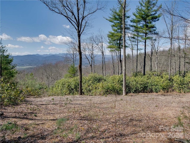 Listing photo 3 for 8B Reserve Rd, Pisgah Forest NC 28768