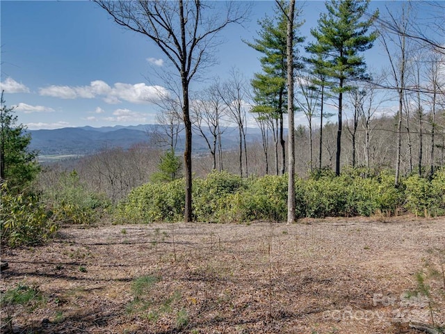 8B Reserve Rd, Pisgah Forest, NC 28768 - photo 3