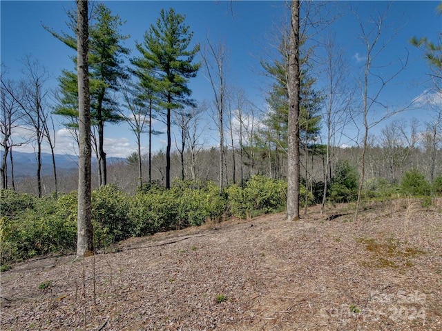 8B Reserve Rd, Pisgah Forest, NC 28768 - photo 4