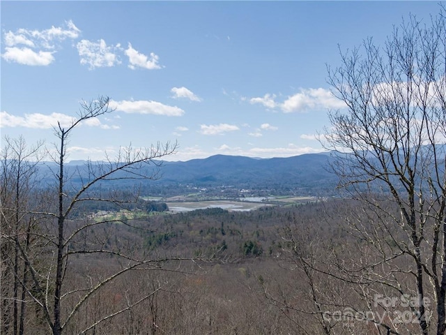 8B Reserve Rd, Pisgah Forest, NC 28768 - photo 5