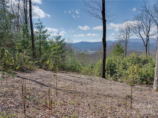 8B Reserve Rd, Pisgah Forest, NC 28768 - photo 6