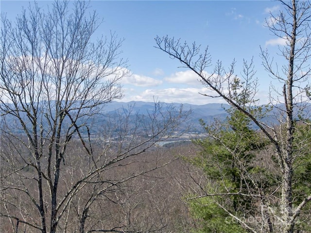 8B Reserve Rd, Pisgah Forest, NC 28768 - photo 7