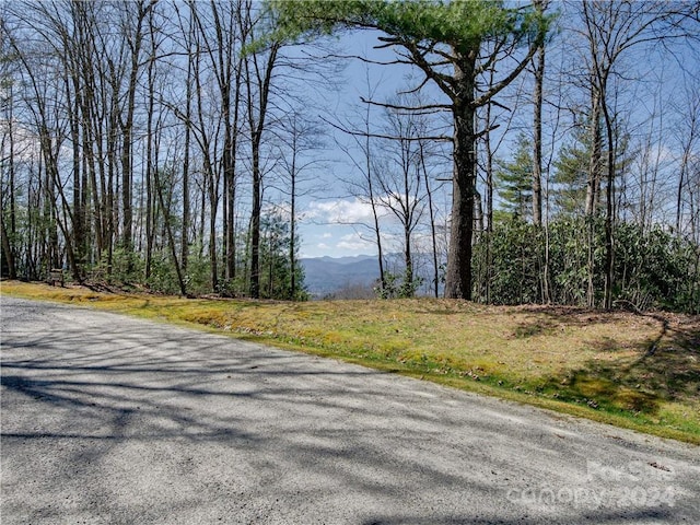 8B Reserve Rd, Pisgah Forest, NC 28768 - photo 8