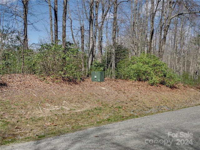 8B Reserve Rd, Pisgah Forest, NC 28768 - photo 9