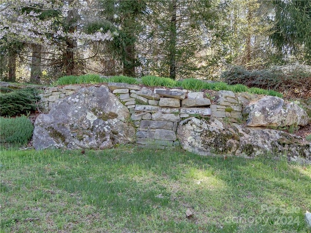 8B Reserve Rd, Pisgah Forest, NC 28768 - photo 10