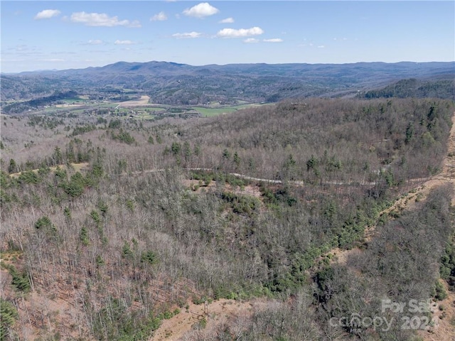 8B Reserve Rd, Pisgah Forest, NC 28768 - photo 12