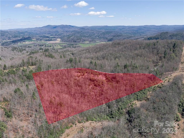 8B Reserve Rd, Pisgah Forest, NC 28768 - photo 13
